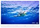 Thumbnail-11