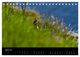Thumbnail-9