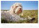 Thumbnail-9