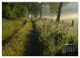 Thumbnail-11