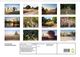 Thumbnail-13