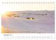 Thumbnail-14
