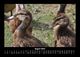 Thumbnail-12