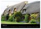 Thumbnail-7