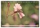 Thumbnail-11