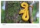 Thumbnail-9