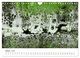 Thumbnail-12