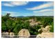 Thumbnail-11