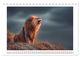 Thumbnail-11