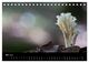Thumbnail-10