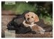 Thumbnail-9