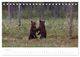 Thumbnail-12