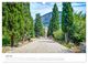 Thumbnail-9