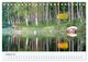 Thumbnail-10