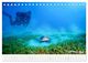 Thumbnail-9