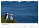 Thumbnail-11