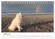 Thumbnail-12