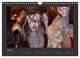 Thumbnail-11