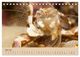 Thumbnail-11
