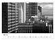 Thumbnail-10