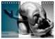 Thumbnail-9