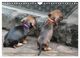 Thumbnail-11