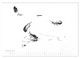Thumbnail-12