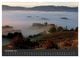 Thumbnail-13