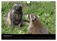Thumbnail-14
