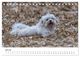 Thumbnail-12