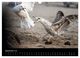 Thumbnail-11