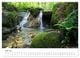 Thumbnail-11