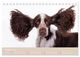 Thumbnail-12