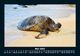 Thumbnail-9
