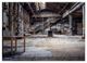 Thumbnail-9