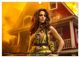 Thumbnail-13