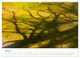 Thumbnail-11
