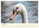 Thumbnail-11