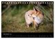 Thumbnail-13