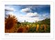 Thumbnail-8