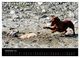 Thumbnail-14