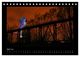 Thumbnail-9