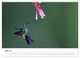 Thumbnail-10