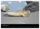 Thumbnail-11