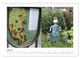Thumbnail-9