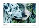 Thumbnail-8