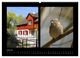 Thumbnail-12