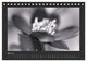 Thumbnail-10