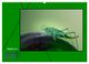 Thumbnail-13