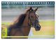 Thumbnail-12
